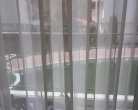 светла Несебър